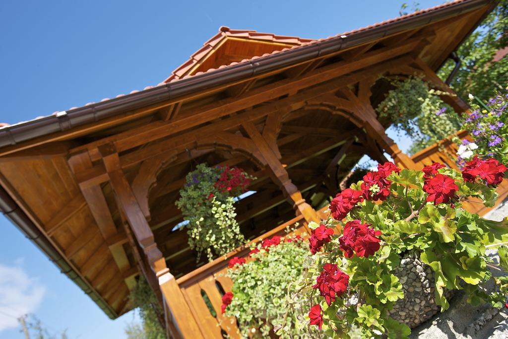 Hotel Alex Санкт-Канциан Экстерьер фото